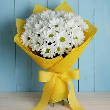 Букет цветов из:  Хризантемы в Бабушкине