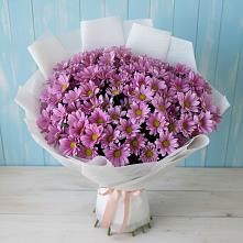 Букет цветов из:  Хризантемы в Бабушкине