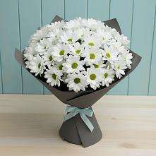 Букет цветов из:  Хризантемы #REPLACE_PRED# Бабушкине