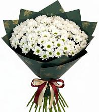 Букет цветов из:  Хризантемы в Бабушкине