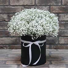 Цветочная композиция из Гипсофила в шляпной коробке в Бабушкине