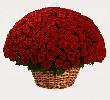 Премиум букет из: Розы #REPLACE_PRED# Бабушкине